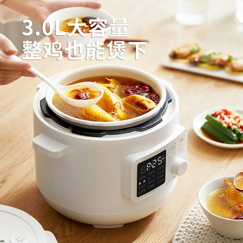 DUTRIEUX Mini Multi-Function Pressure Rice Cooker | Under 3L Electric Pressure Cooker P3