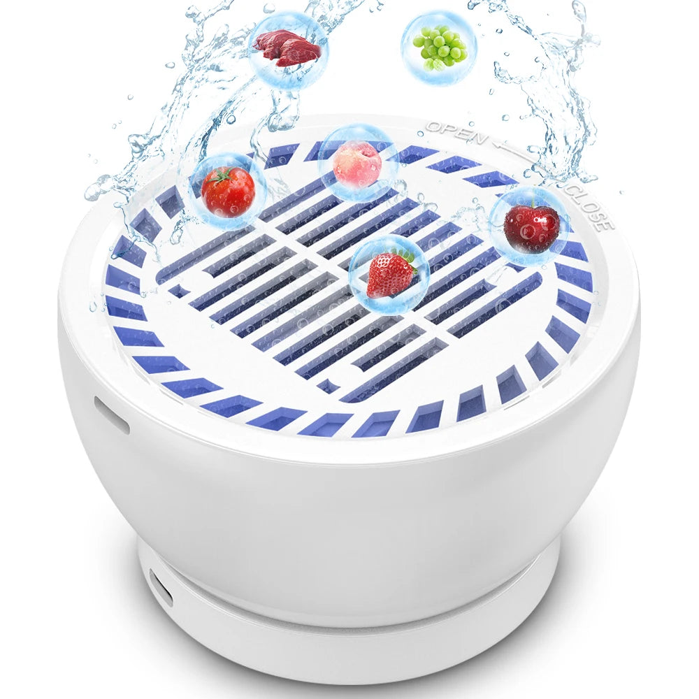 DUTRIEUX USB Ozone Hydroxyl Fruit & Vegetable Purifier Fruit Vegetable Purifier P3