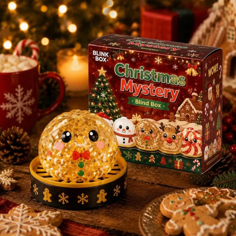 Christmas Bao Dumpling Squishy Mystery Box – Slow Rising Toy Squishy Novelty Toy P3 D