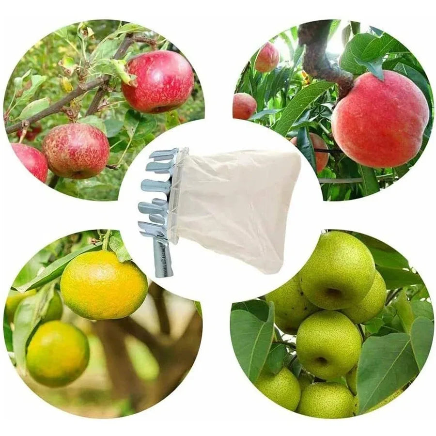 Adjustable Multi-Fruit Picking Kit – Berry Cherry Citrus Collector Fruit Picking Kit P3