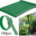 Nylon Plant Ties Adjustable Non-Slip Loop Fasteners 50/100 Pack Garden Plant Ties P3 100pcs