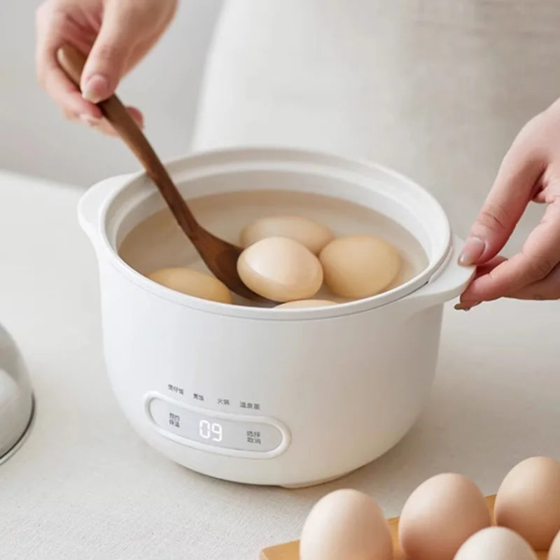 DUTRIEUX 1L Mini Electric Rice Cooker – Stainless Steel 500W Mini Rice Cooker P3