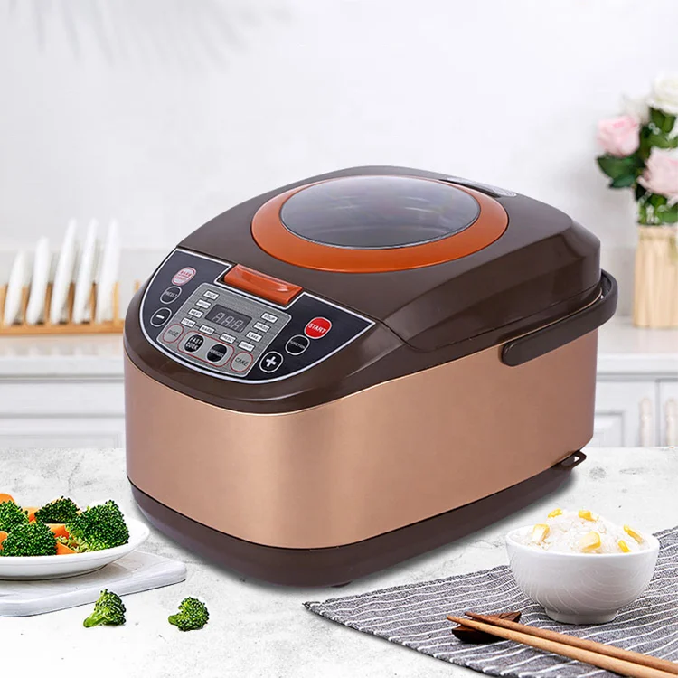 DUTRIEUX 5L Multifunctional Electric Rice Cooker with Warmer Electric Rice Cooker P3