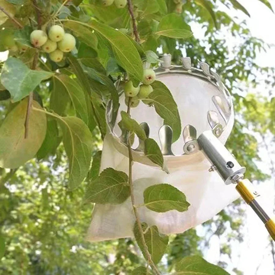 Adjustable Fruit Picking Kit – Berry Cherry Citrus Collector Fruit Picking Kit P3
