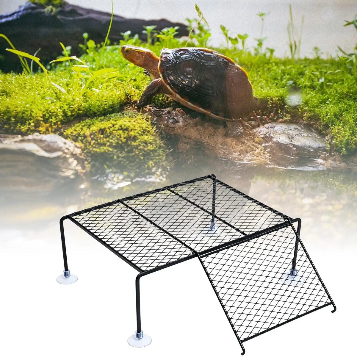 Turtle Basking Dock with Suction Cup Ramp – S, M & L Sizes Reptile Basking Dock P3