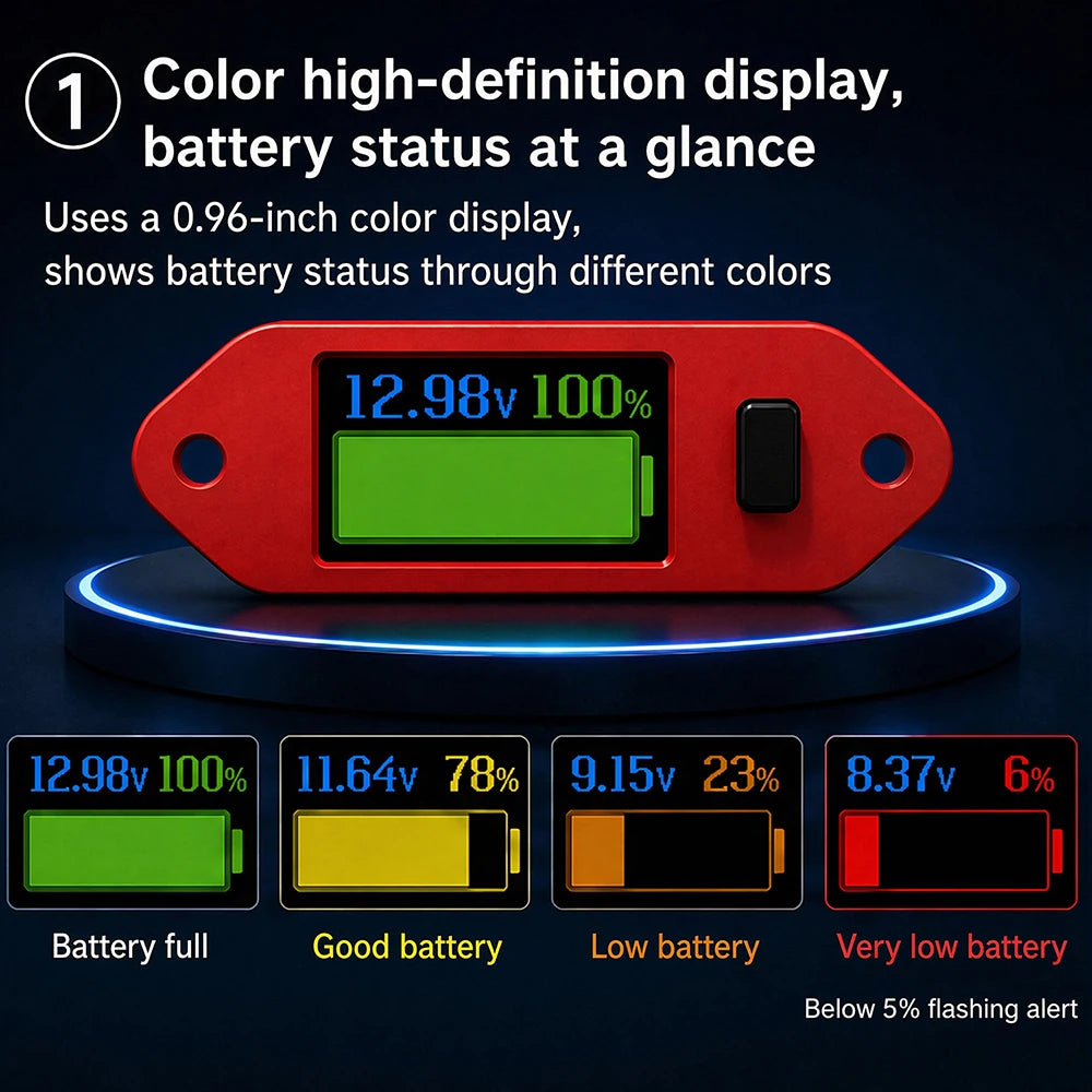 Gaqqee DC 4–55V Programmable Voltmeter & Battery Indicator Digital Voltmeter P3