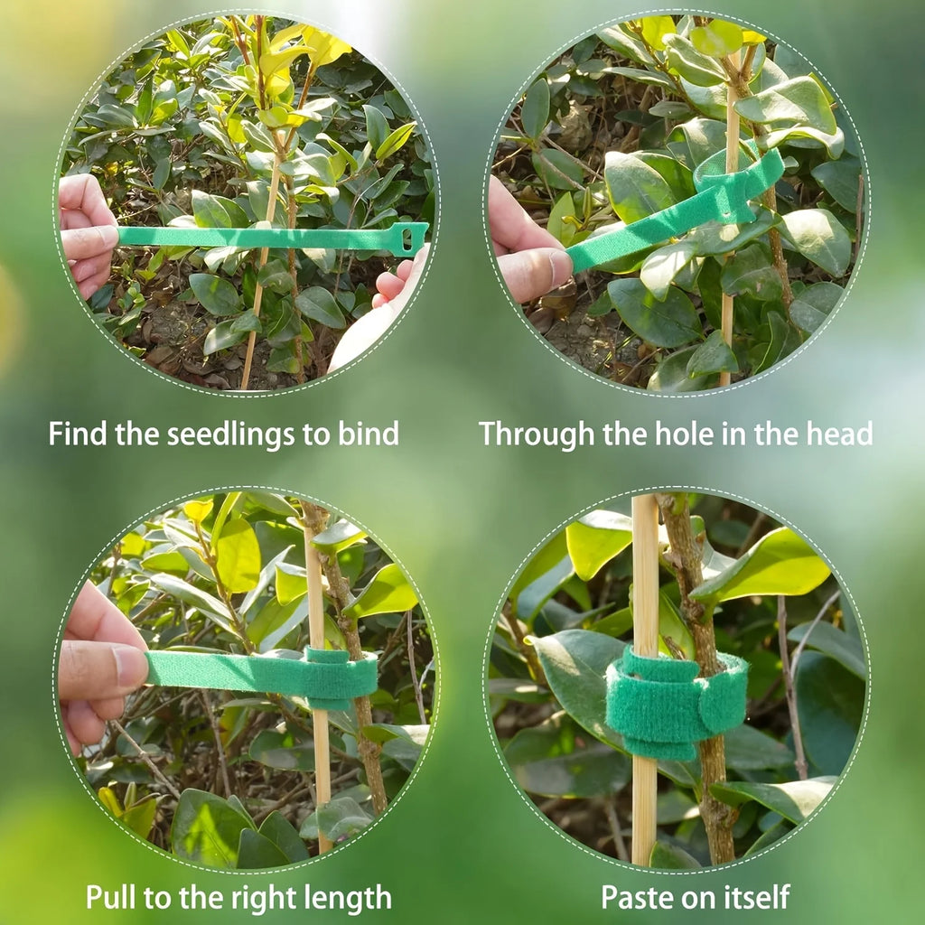 Nylon Plant Ties Adjustable Non-Slip Loop Fasteners 50/100 Pack Garden Plant Ties P3