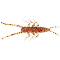 B&U Soft Nymph Fishing Lures – Bass Trout Perch Drop Shot Soft Fishing Lure P3 black red 10pcs-3.8cm-1.8g