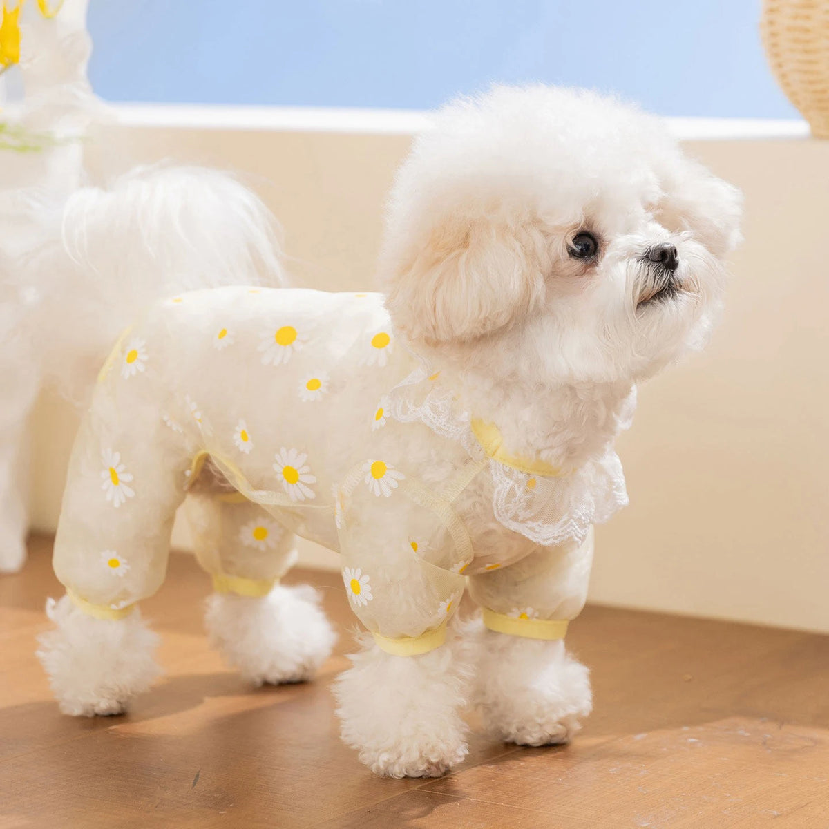 Puppy Breathable Mesh Jumpsuit – Insect-Proof Dog Clothes XS–XL Pet Dog Jumpsuit P3