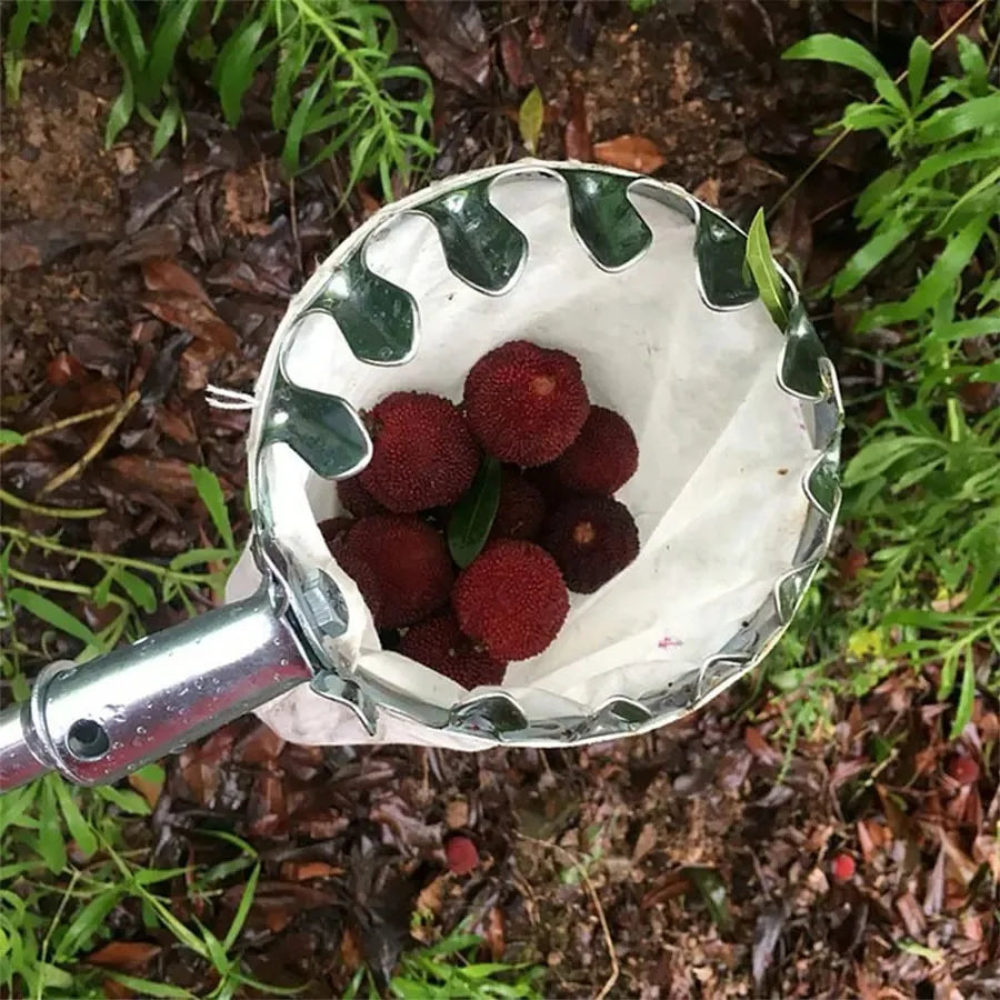Long Reach Adjustable Fruit Picker Tool | Apple Berry Harvest Fruit Picker Tool P3