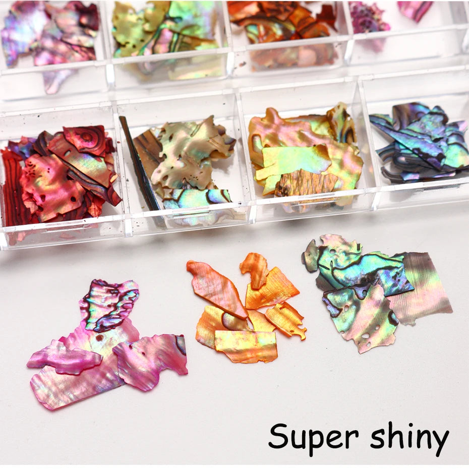 12-Grid Abalone Shell Flakes for Nail Art – 3D Glitter Slices Nail Art Decoration P3