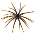 B&U Floating Sea Urchin Soft Lure | Topwater Bass Trout Bait Soft Fishing Lure P3 Brown 2pc-10cm-8.9g