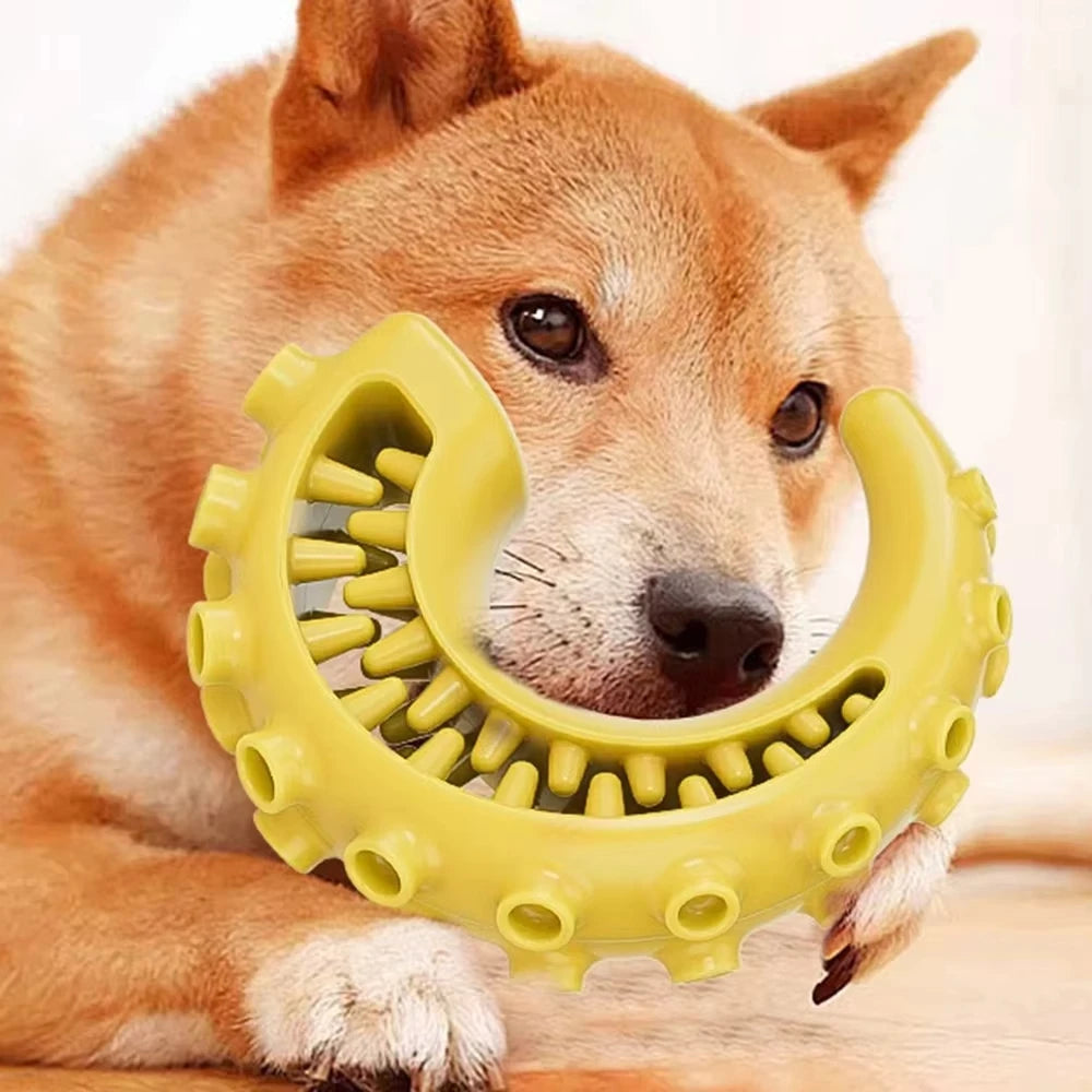 NOCCLILI Bite-Resistant Dog Chew Toy – Teeth Cleaning Dog Chew Toy P3