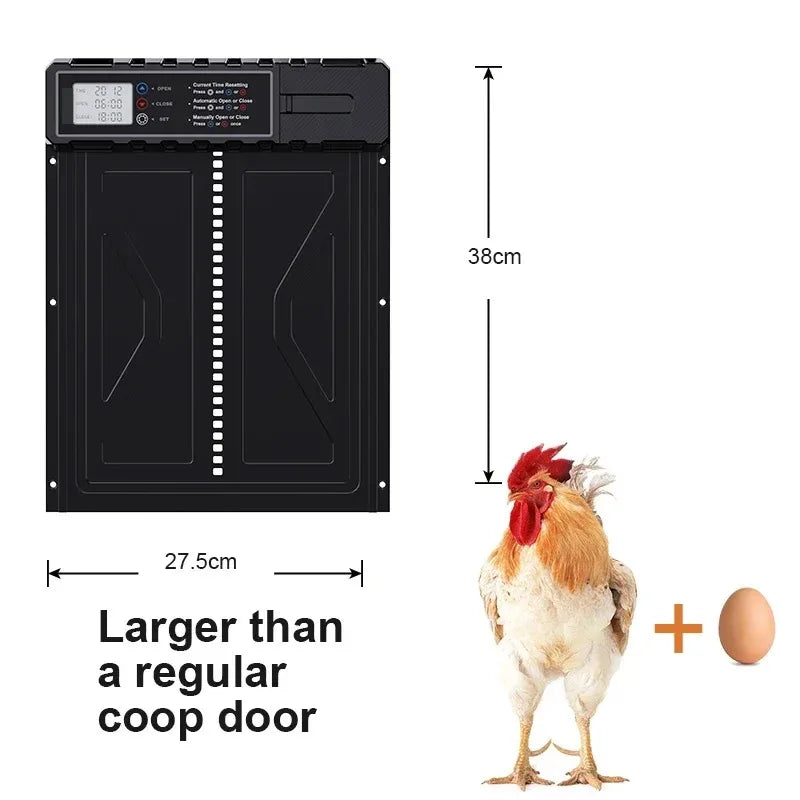 Large Automatic Chicken Coop Door with LCD Timer | Farm Use Automatic Coop Door P3