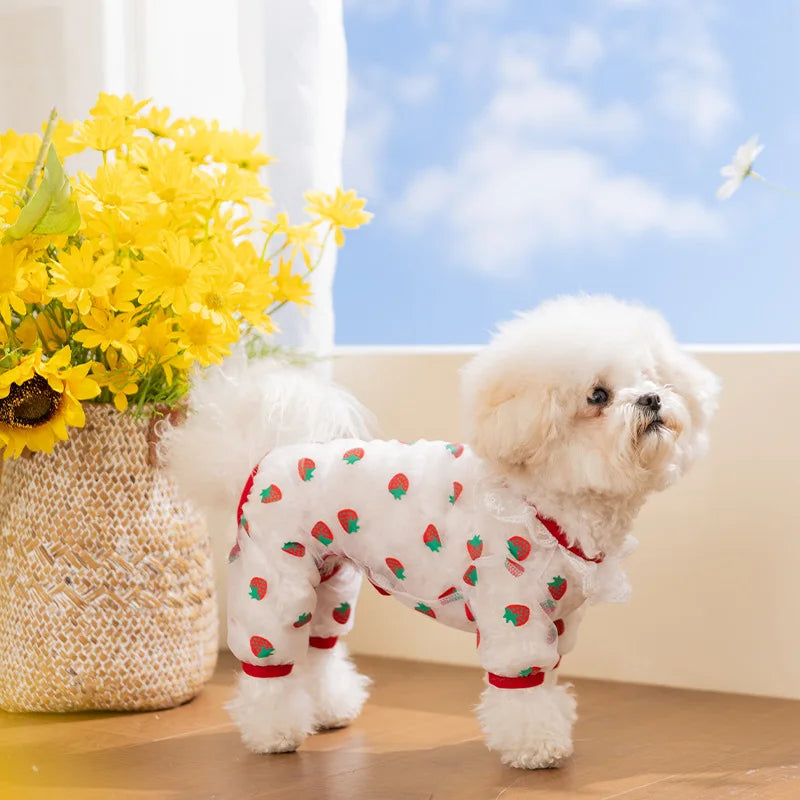 Puppy Breathable Mesh Jumpsuit – Insect-Proof Dog Clothes XS–XL Pet Dog Jumpsuit P3
