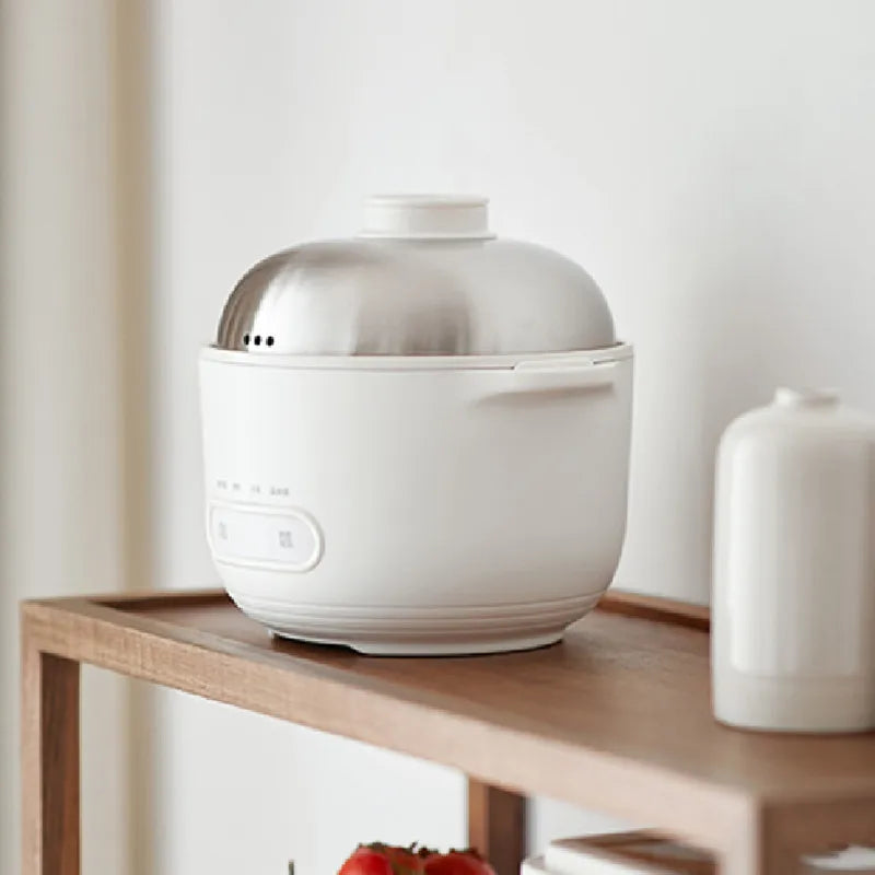 DUTRIEUX 1L Mini Electric Rice Cooker – Stainless Steel 500W Mini Rice Cooker P3