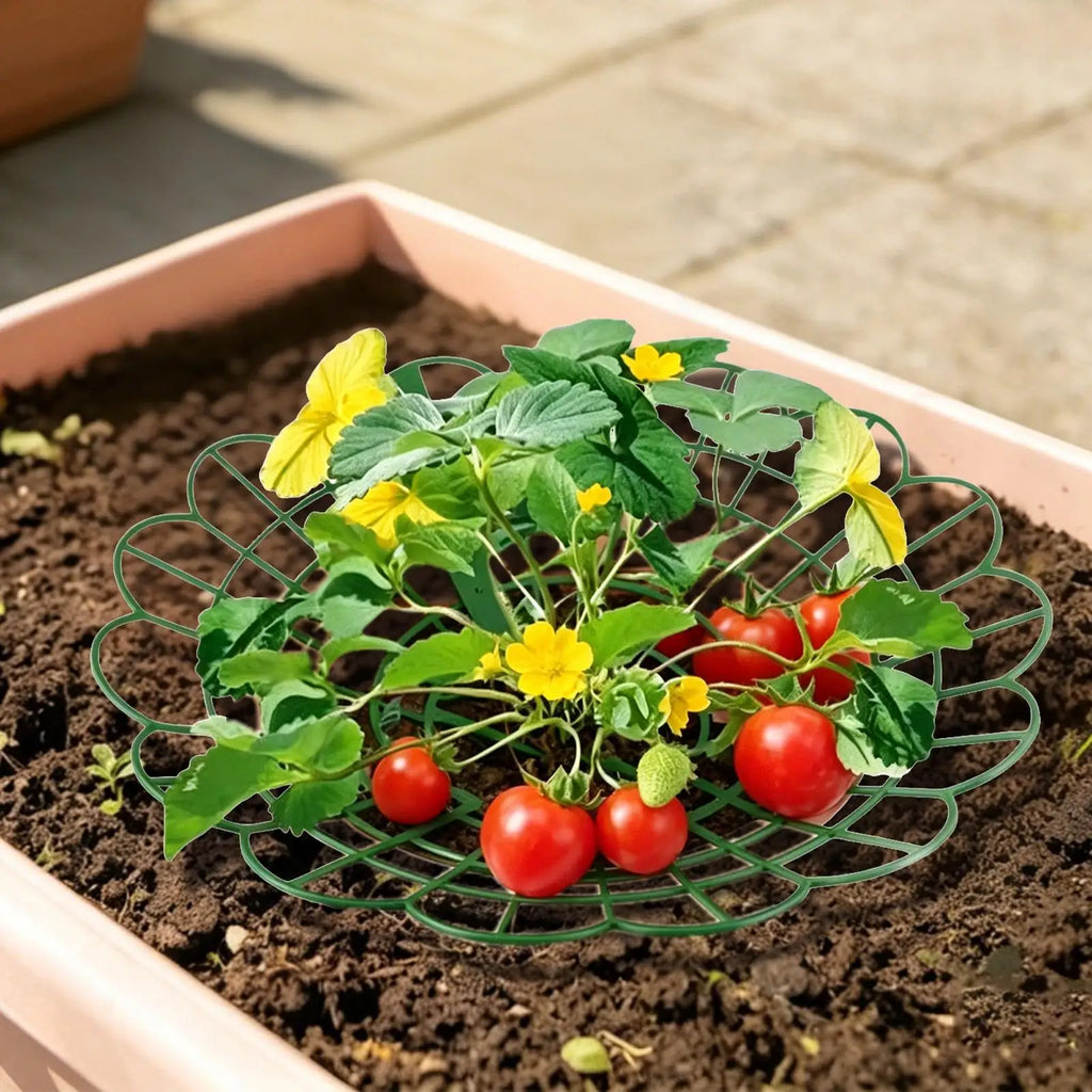 Strawberry Plant Stand Support Frame – Patio, Balcony & Yard